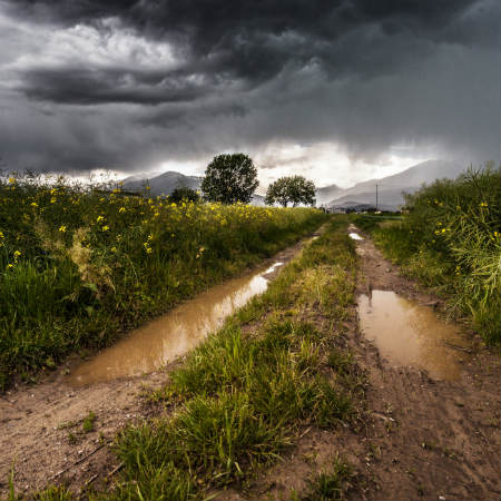 wet dirt road