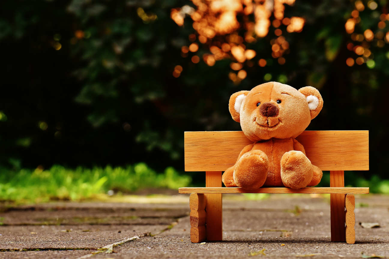 bear stuffed animal on bench